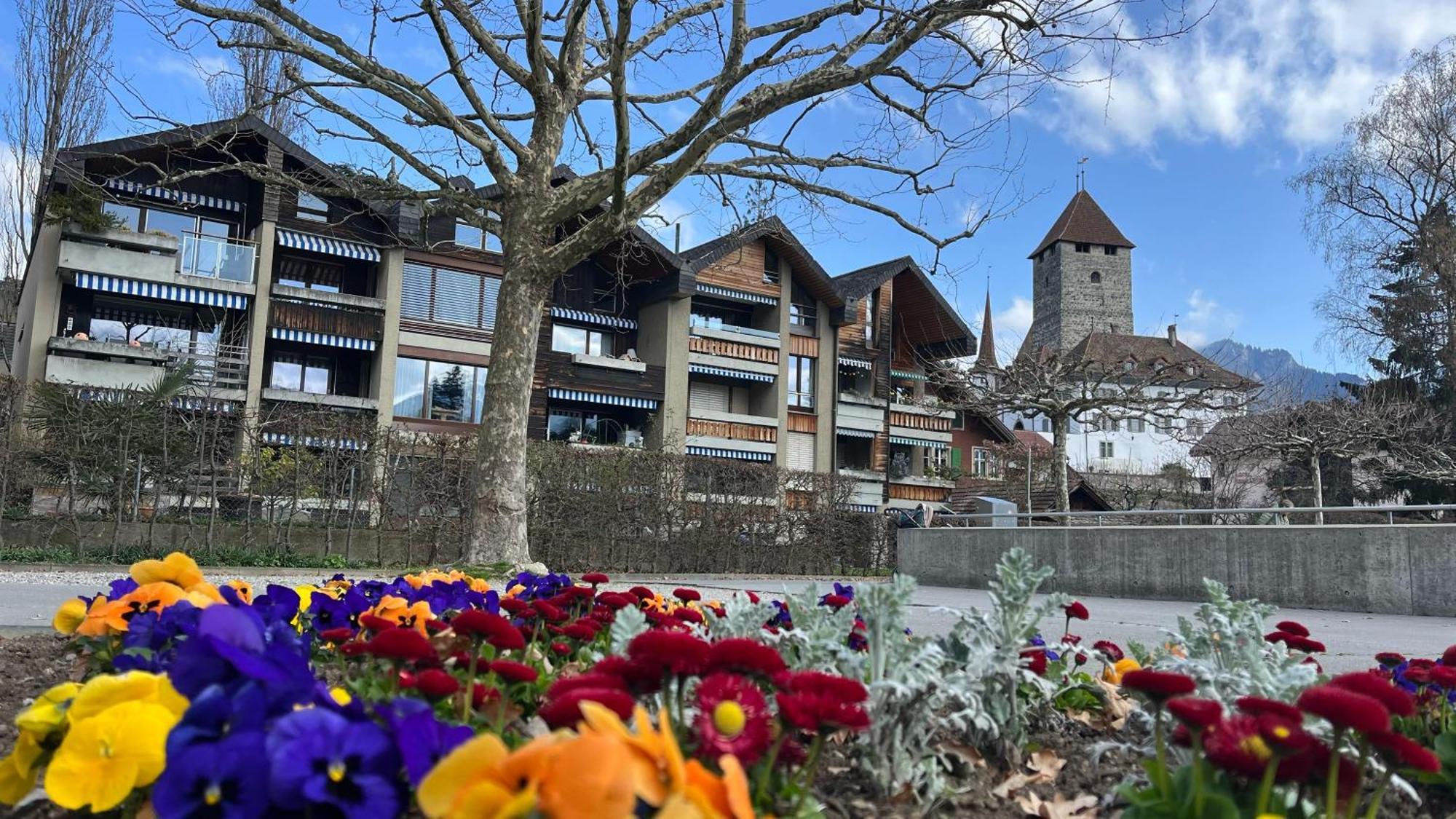 Buchtoase Apartment Spiez